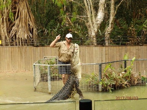 Hartley's Crocodile Adventures Day Trip From Cairns - Hotel Accommodation 2