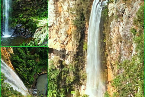 Rainforest & Waterfalls Extravaganza - Hotel Accommodation 0
