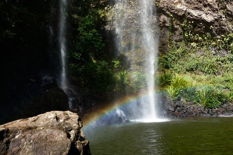 Rainforest & Waterfalls Extravaganza - Hotel Accommodation 4
