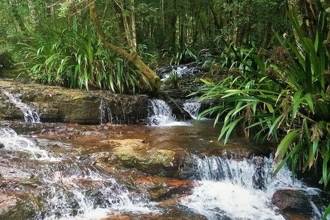 Rainforest & Waterfalls Extravaganza - Hotel Accommodation 7