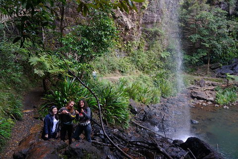 Rainforest & Waterfalls Extravaganza - Hotel Accommodation 9