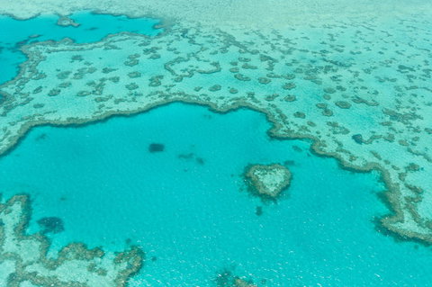 Whitsundays Seaplane Tours - Hotel Accommodation 2