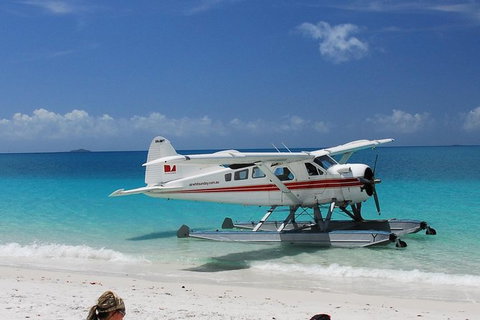 Whitsundays Seaplane Tours - Hotel Accommodation 1