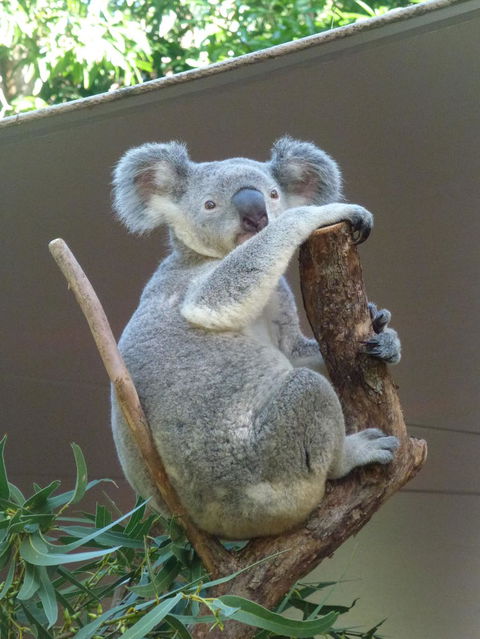 Whitehaven Beach And Hamilton Island Cruise - Hotel Accommodation 6
