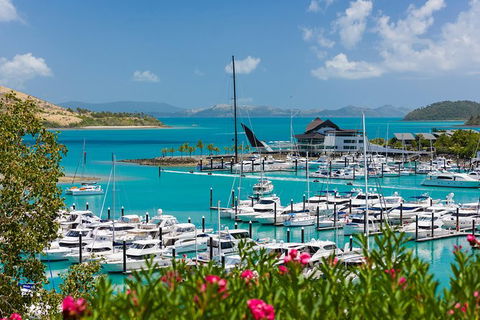 Whitehaven Beach And Hamilton Island Cruise - Hotel Accommodation 10