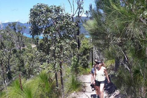 Scenic Guided Walk Up Mt Rooper For Best Whitsunday Views From Airlie Beach - Hotel Accommodation 1