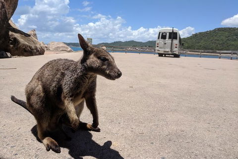 Magnetic Island Tour: Maggie Comprehensive - Hotel Accommodation 0