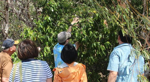 Magnetic Island Tour: Maggie Comprehensive - Hotel Accommodation 6