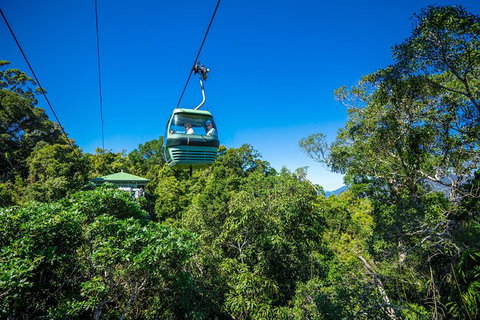Kuranda Scenic Railway Day Trip From Palm Cove - Hotel Accommodation 1