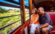 Kuranda Scenic Railway Day Trip From Palm Cove - thumb 2