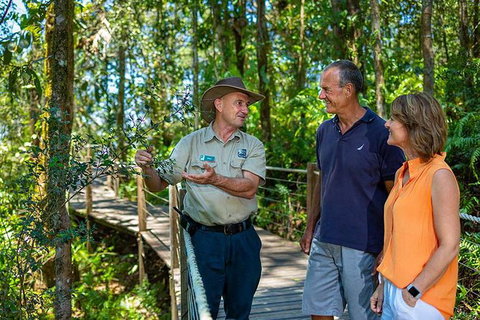 Kuranda Scenic Railway Day Trip From Palm Cove - Hotel Accommodation 4