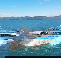Whitsunday Island Boat Adventure - Hotel Accommodation