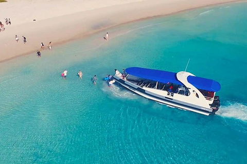 Whitehaven Beach Day Tour With Snorkel In Whitsundays Island - Hotel Accommodation 0