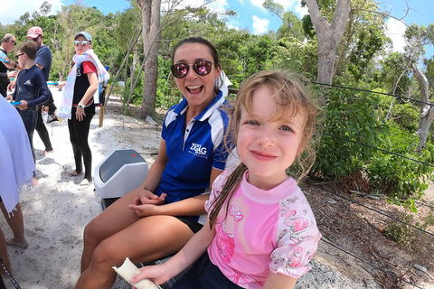Whitehaven Beach Day Tour With Snorkel In Whitsundays Island - Hotel Accommodation 24