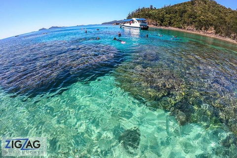Whitehaven Beach Day Tour With Snorkel In Whitsundays Island - Hotel Accommodation 8