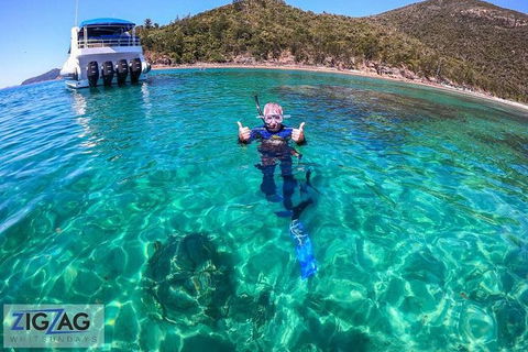 Whitehaven Beach Day Tour With Snorkel In Whitsundays Island - Hotel Accommodation 10