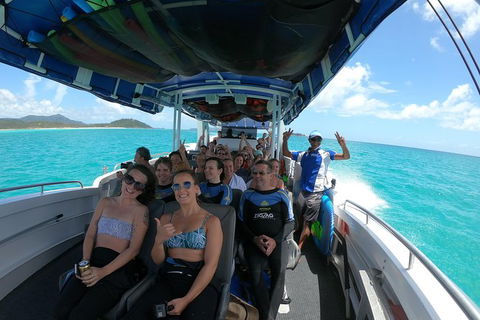 Whitehaven Beach Day Tour With Snorkel In Whitsundays Island - Hotel Accommodation 15