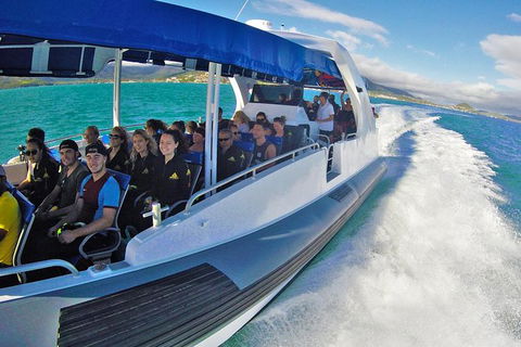 Whitehaven Beach Day Tour With Snorkel In Whitsundays Island - Hotel Accommodation 12