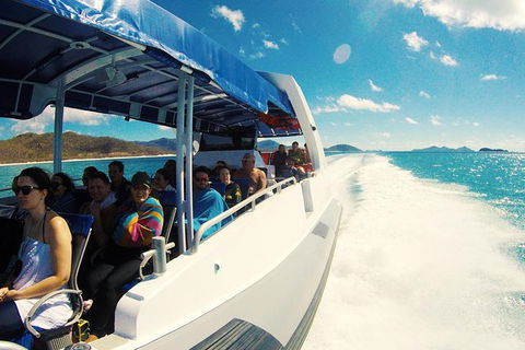 Whitehaven Beach Day Tour With Snorkel In Whitsundays Island - Hotel Accommodation 21