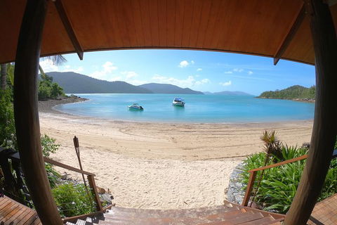 Whitehaven Beach Day Tour With Snorkel In Whitsundays Island - Hotel Accommodation 13