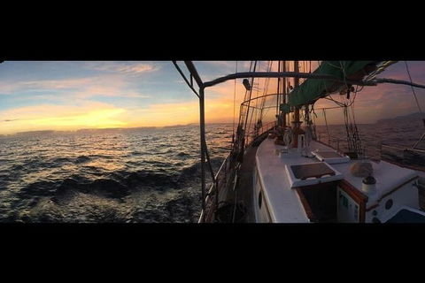 Whitsundays Sunset Sailing Cruise - Hotel Accommodation 3