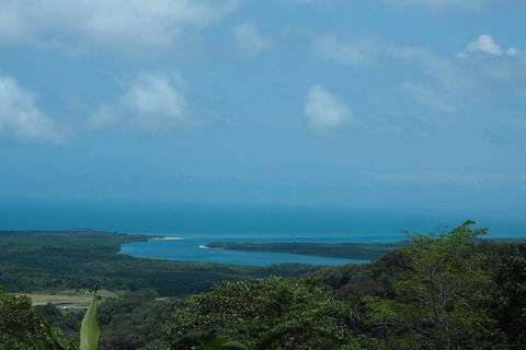 Cape Tribulation, Daintree Rainforest And Wildlife Tour - Hotel Accommodation 7