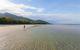 Cape Tribulation, Daintree Rainforest And Wildlife Tour - thumb 6