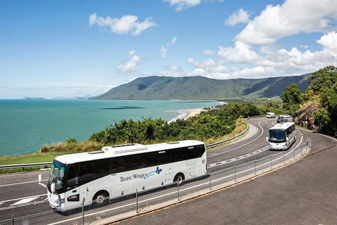 Cape Tribulation, Daintree Rainforest And Wildlife Tour - Hotel Accommodation 3