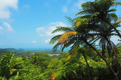 Cape Tribulation, Daintree Rainforest And Wildlife Tour - Hotel Accommodation 5