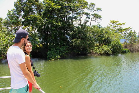 Cape Tribulation, Daintree Rainforest And Wildlife Tour - Hotel Accommodation 8