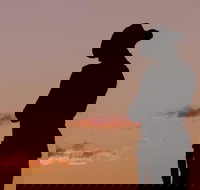 Townsville and the Australian Army Walking History Tour with Optional City Sightseeing - Hotel Accommodation