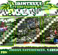 Daintree Atttractions Pass The Best of the Daintree in a Day