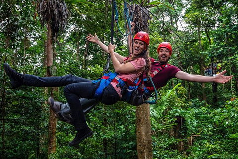 Daintree Atttractions Pass: The Best Of The Daintree In A Day - Hotel Accommodation 1