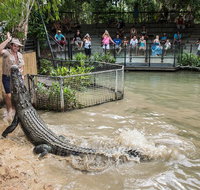 Hartley's Crocodile Adventures General Entry Ticket - Hotel Accommodation