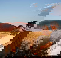 Uluru Ayers Rock Sunset with Outback Barbecue Dinner and Star Tour - Hotel Accommodation
