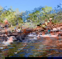 Litchfield and Jumping Crocodiles Full Day Trip from Darwin - Hotel Accommodation