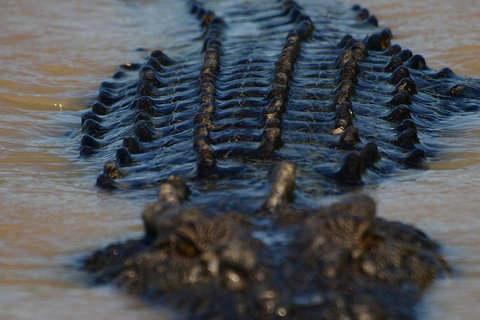 Darwin Jumping Crocodiles Cruise On Adelaide River - Hotel Accommodation 1