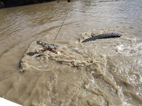 Darwin Jumping Crocodiles Cruise On Adelaide River - Hotel Accommodation 8