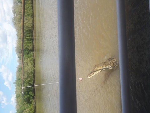Darwin Jumping Crocodiles Cruise On Adelaide River - Hotel Accommodation 3