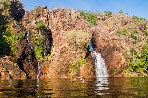 Litchfield National Park Day Tour From Darwin - Hotel Accommodation 0