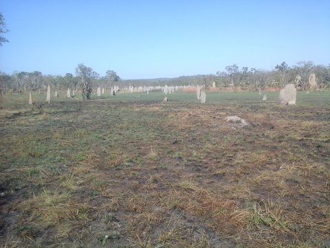 Litchfield National Park Day Tour From Darwin - Hotel Accommodation 13