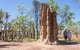 Litchfield National Park Day Tour From Darwin - thumb 22