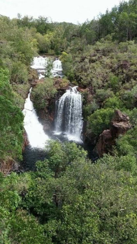 Small-Group Litchfield National Park Day Trip From Darwin - Hotel Accommodation 7