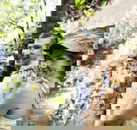 Small-Group Litchfield National Park Day Trip from Darwin - Hotel Accommodation