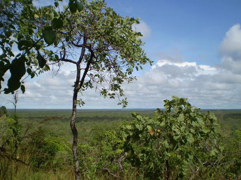 Small-Group Litchfield National Park Day Trip From Darwin - Hotel Accommodation 8