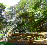 Darwin Afternoon Sightseeing Tour - Hotel Accommodation