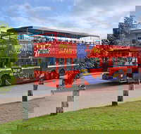 Darwin Shore Excursion Hop-on Hop-off Bus Tour - Hotel Accommodation