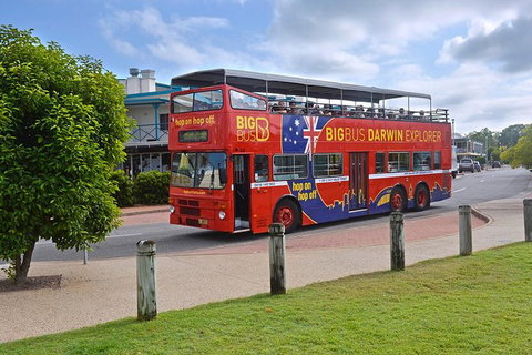 Darwin Shore Excursion: Hop-on Hop-off Bus Tour - Hotel Accommodation 0