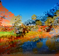 Palm Valley 4WD Day Tour - Hotel Accommodation