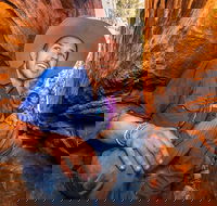 3-Day Red Centre Camping Safari from Alice Springs or Ayers Rock Including Kings Canyon - Hotel Accommodation